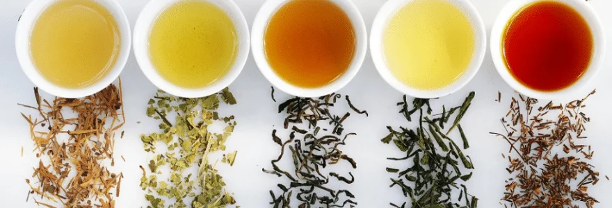 13 raisons de boire du thé