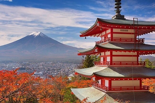 Thé du Japon