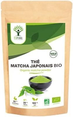 Matcha Bio en Poudre – Puissant Antioxydant – Thé Matcha Japonais de Qualité Prémium – Colorant Alimentaire Vert – Cuisine et Infusion – Origine Japon Conditionné en France – Certifié Ecocert – 500g