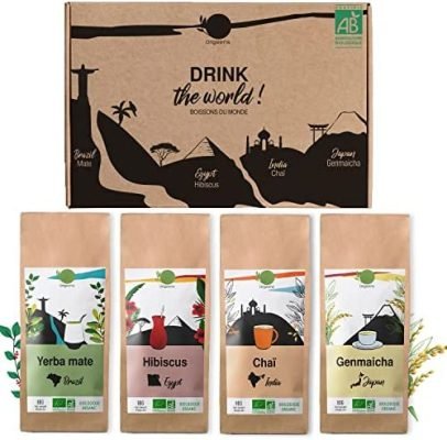ORIGEENS COFFRET THÉ BIO BOISSONS DU MONDE – Hibiscus, Maté, Thé Chai, Thé vert Genmaicha – Assortiment thé 4x80gr – Coffret thé à offrir