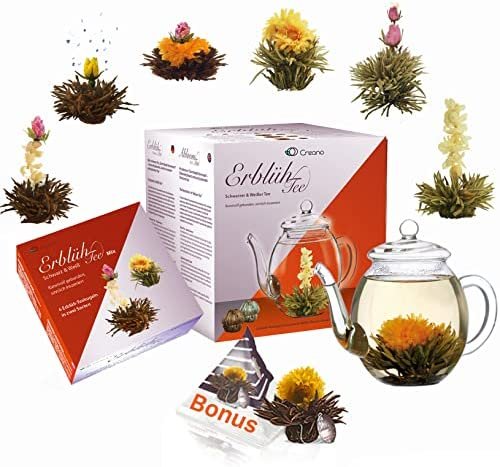 Creano Lot de 8 fleurs de thé – Thé infusé avec verseuse en verre de 500 ml et 6 thé noir et blanc + 1 boule de thé noir Teelini Creano Lot de 8 fleurs de thé – Thé infusé avec verseuse en verre de 500 ml et 6 thé noir et blanc + 1 boule de thé noir Teelini