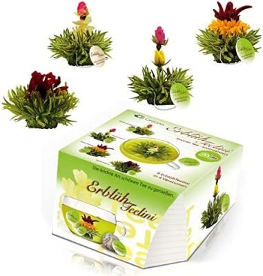 Creano Variation de fleurs de thé dans le format de tasse exclusif « ErblühTeelini » – 8 fleurs de thé en 4 variétés différentes (thé vert)