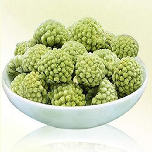 Thé au radis vert du Tibet 50g (0.11LB) Thé aux fleurs sauvages de Shirley Thé parfumé à la nature POUR LA TISSE DE BEAUTÉ Thé au thé Herbes au thé Thé vert Thé cru Thé aux fleurs Thé chinois