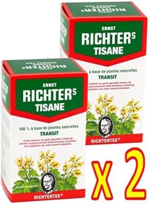 Lot de 2 boîtes de Tisane infusion Ernst Richter 40g – 100% à base de plantes naturelles – 2 x 20 sachets filtres de 2g