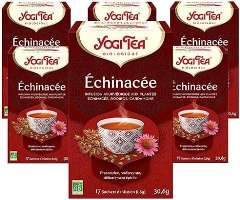 YOGI TEA, Échinacée, Infusion bio, Tisane Naturellement Sans Caféine, Mélange d&rsquo;Échinacée, Rooibos et Cardamome, 102 (6×17) Sachets de Thé