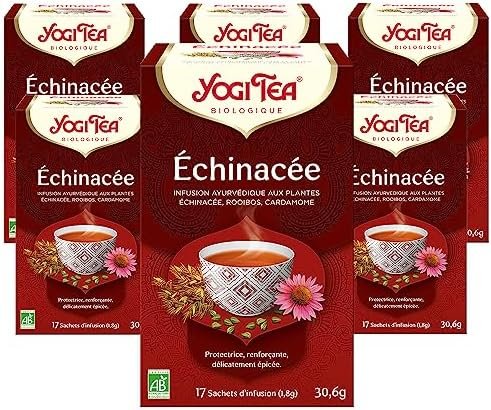 YOGI TEA, Échinacée, Infusion bio, Tisane Naturellement Sans Caféine, Mélange d&rsquo;Échinacée, Rooibos et Cardamome, 102 (6×17) Sachets de Thé